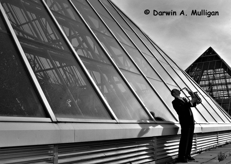 wedding photos at the edmonton muttart conservatory