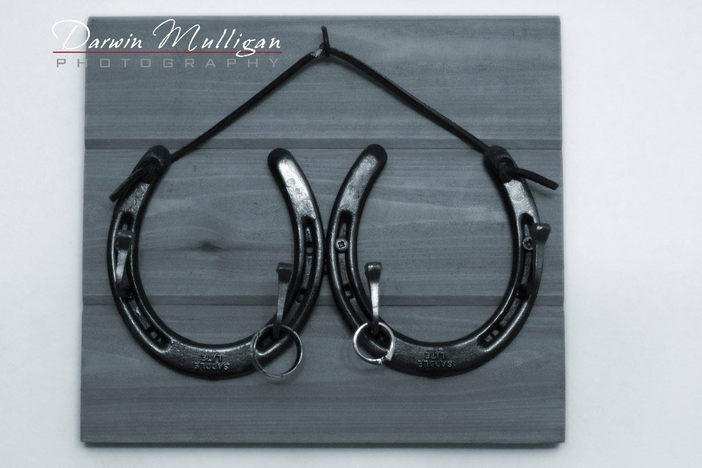Wedding rings placed on horseshoes for good luck