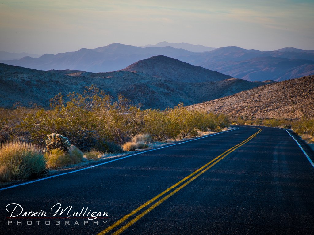 Highway-through-Joshua-Tree-National-Park-California-at-Sunrise