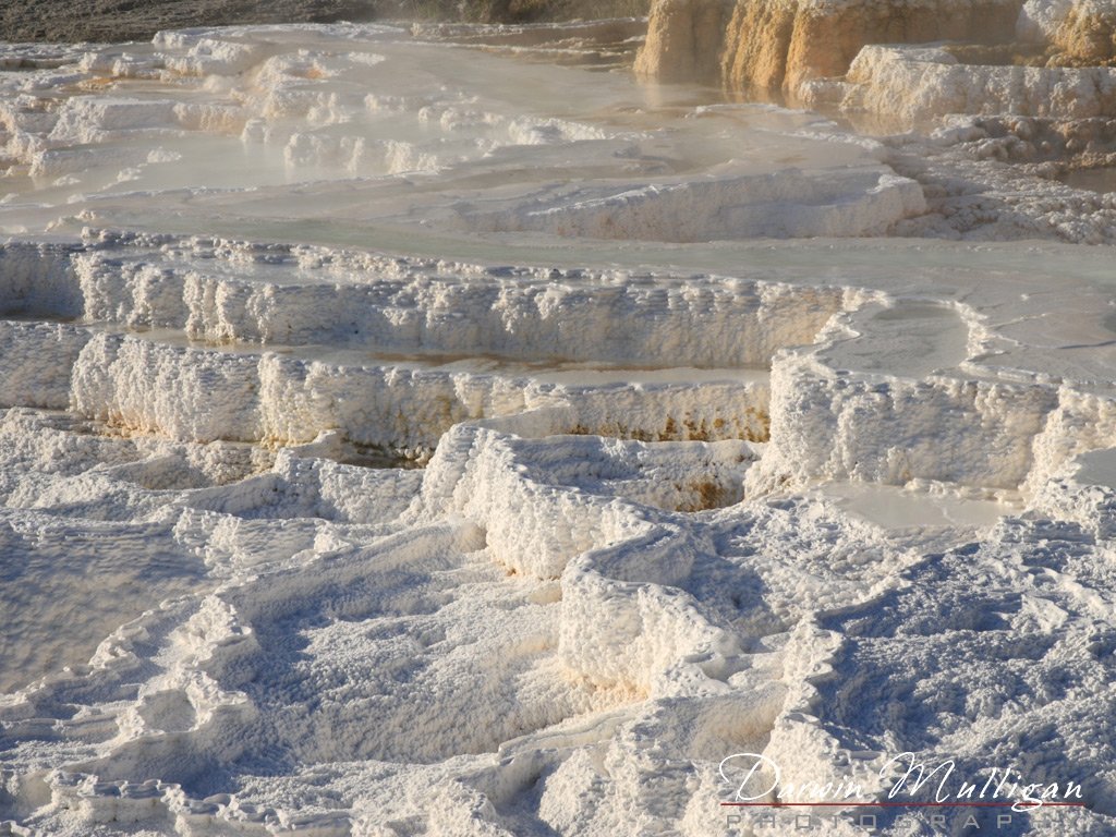 Mammoth-Hot-Springs-Yellowstone-National-Park-Wyoming