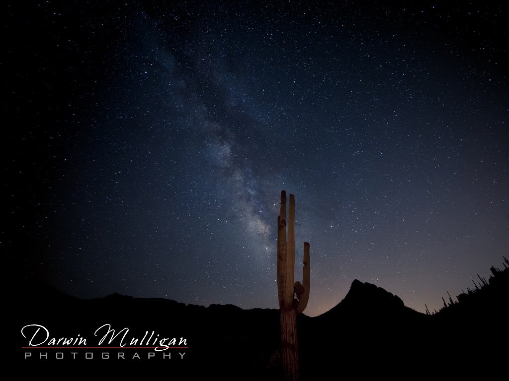 Milky-way-and-cactus-superstition-mountains-arizona