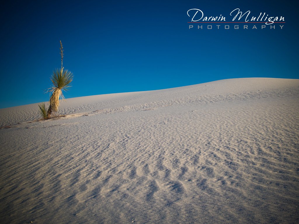 New-Mexico-White-Sands-National-Monument