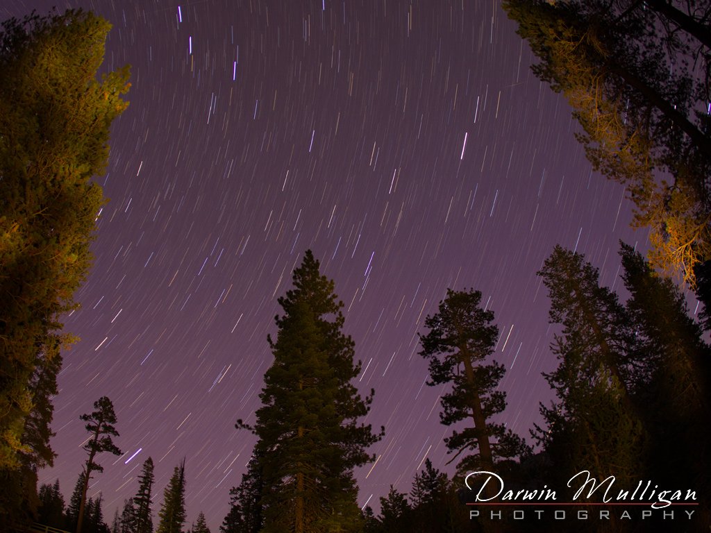 Star-Trails-night-photography-Calaveres-State-Park-California