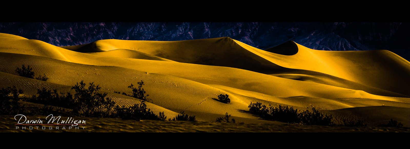 Sunset-Sand-Dunes-near-Stovepipe-Wells-Death-Valley-National-Park-California