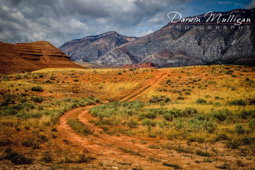 Trail-in-Bighorn-National-Forest-Wyoming