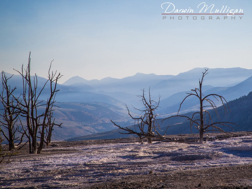 View-from-top-of-Mammoth-Hot-Springs-Yellowstone-National-Park-Wyoming