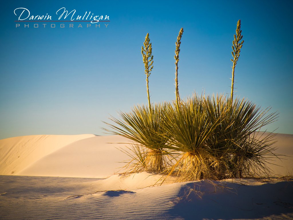 White-Sands-National-Monument-New-Mexico