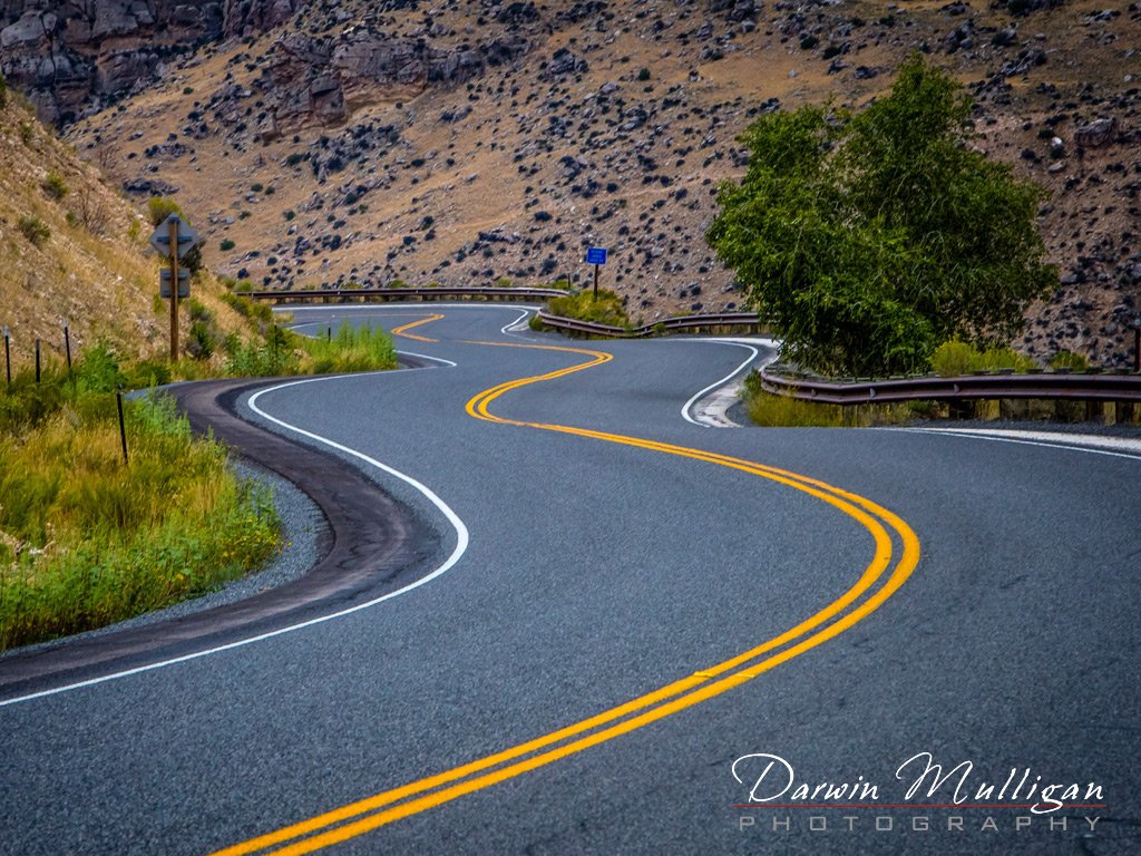 Winding-highway-through-Bighorn-National-Forest-Wyoming