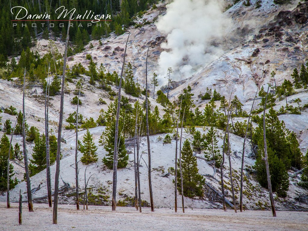 Yellowstone-National-Park-Wyoming-view-along-the-highway