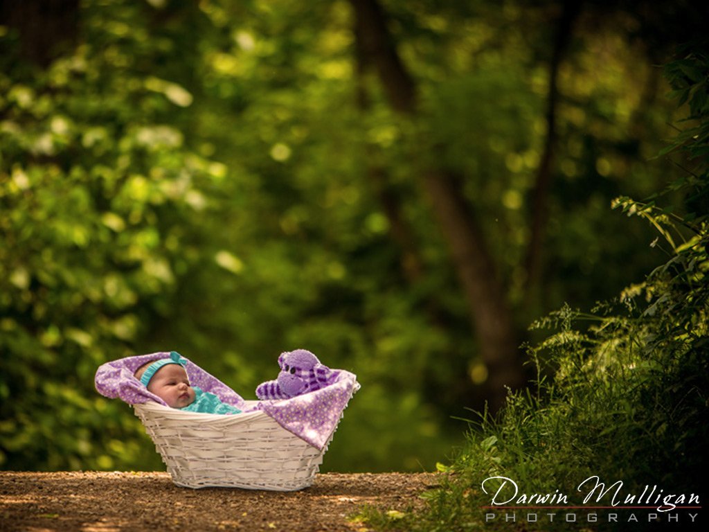 Edmonton-baby-photographer-outdoor-location-baby-in-basket