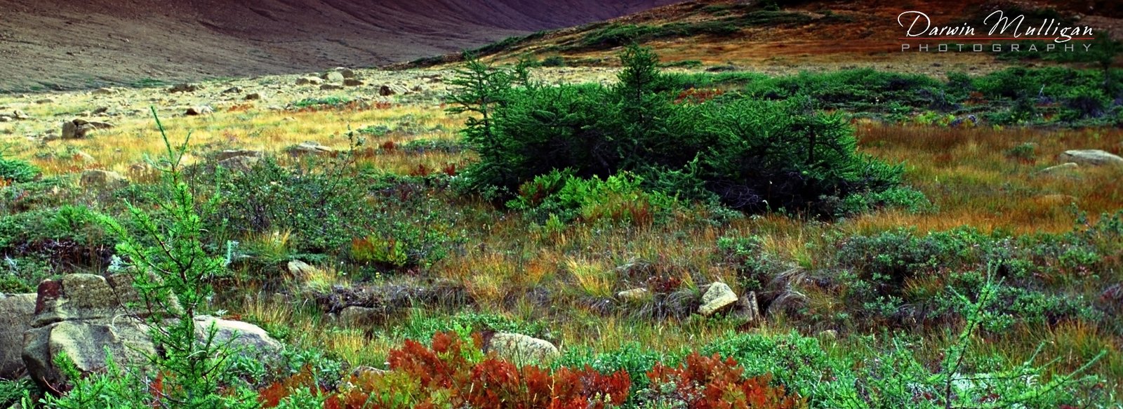 Panorama-Tablelands-National-Park-Canada