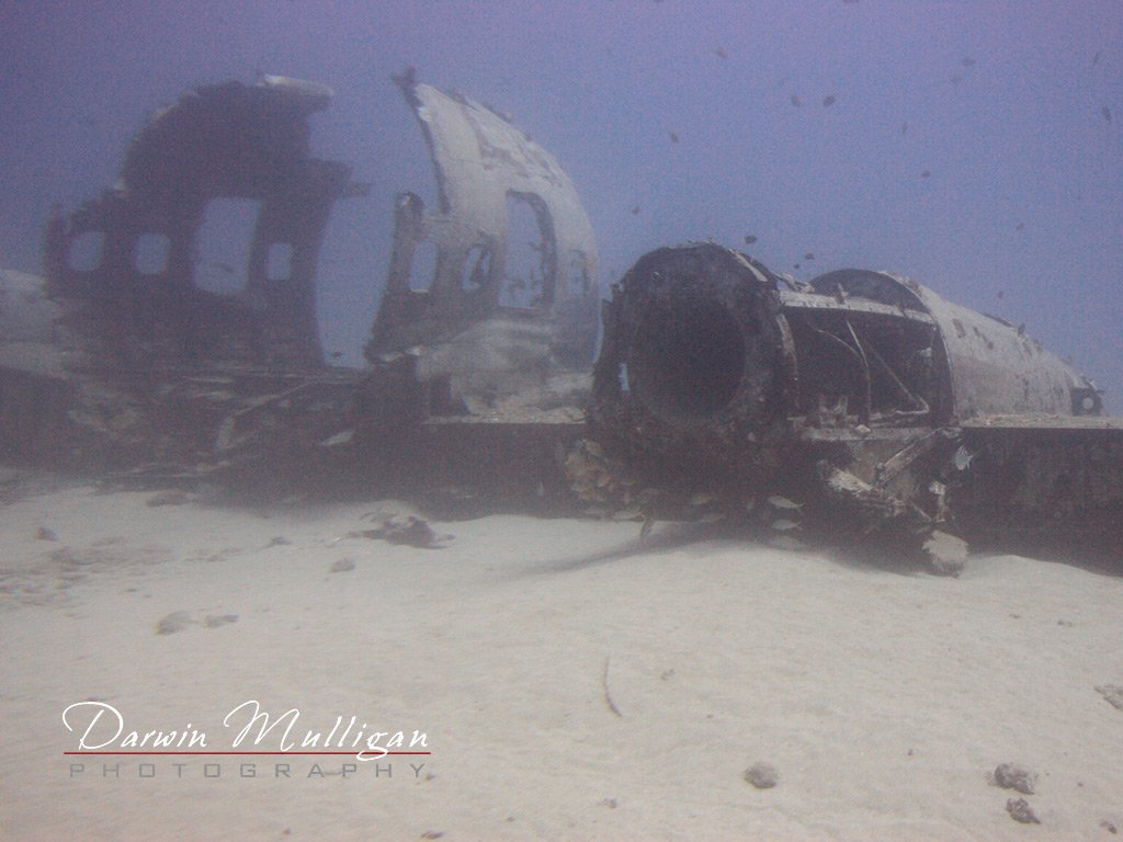 Sunken-airplane-off-coast-of-Hawaii-from-Atlantis-Submarine