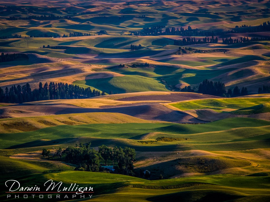 View from Steptoe Butte State Park Washington
