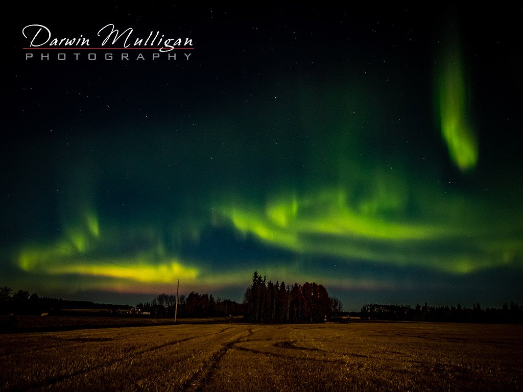 Northern-Lights-Edmonton-Alberta- Big Dipper